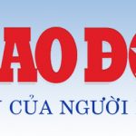 Nấm lim xanh giúp người bị bệnh tiểu đường ăn uống dễ dàng hơn