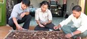 nấm lim xanh của nguyễn đình hoa