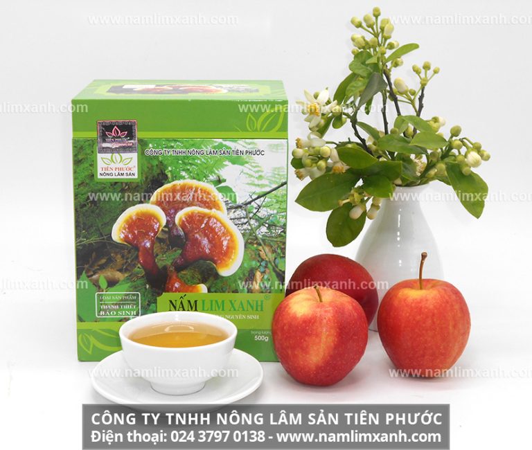 Bạn cần tìm hiểu nấm lim xanh loại nào tốt trước khi sử dụng