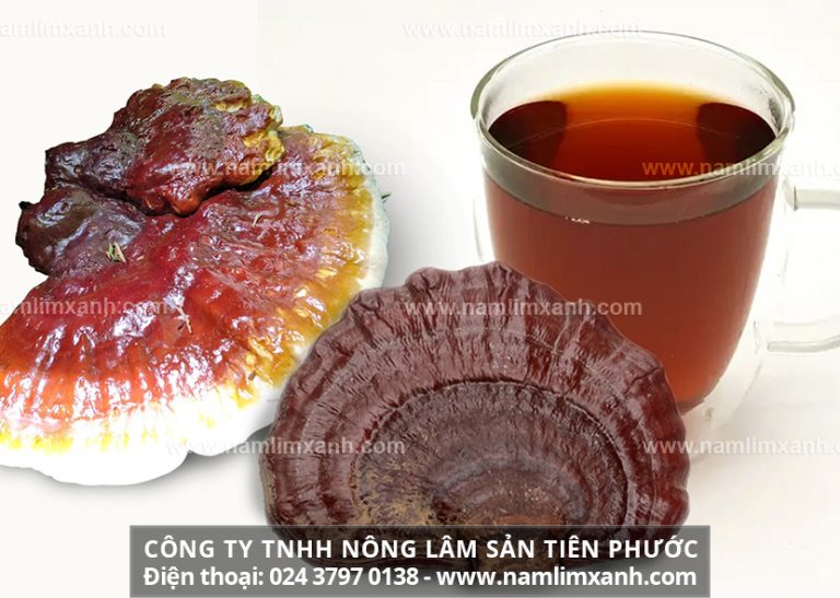 Cách nấu nấm lim xanh Quảng Nam có tác dụng tốt nhất