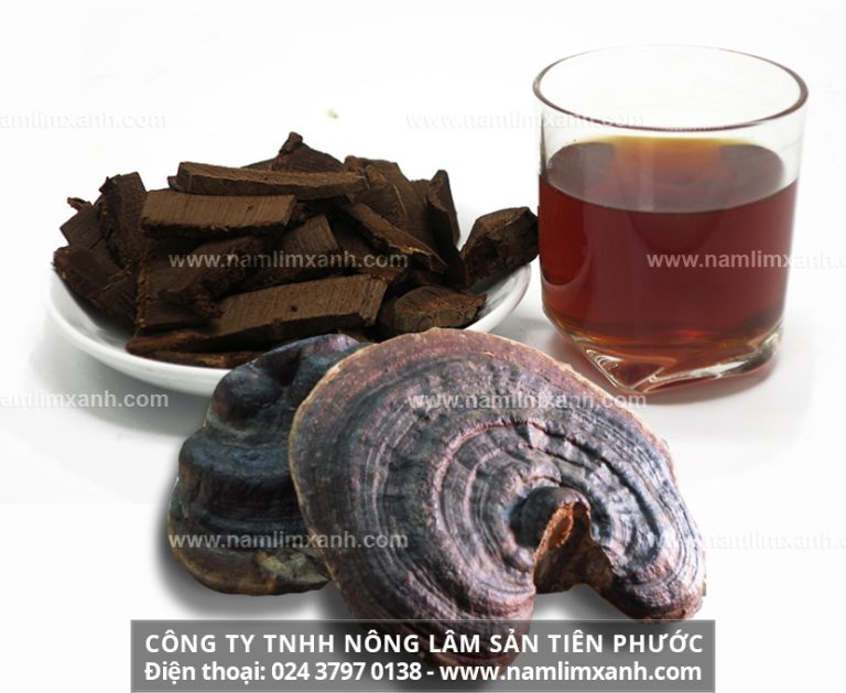 Cách nấu nấm lim xanh khô an toàn chất lượng