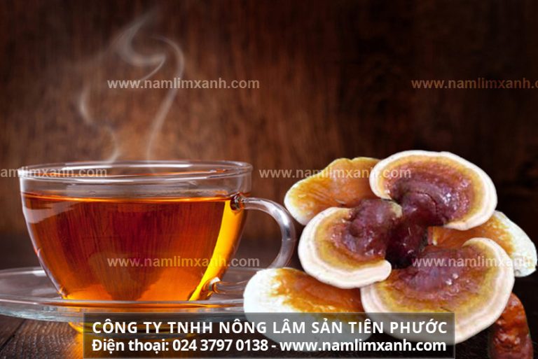 Cách nấu nước nấm lim xanh như thế nào