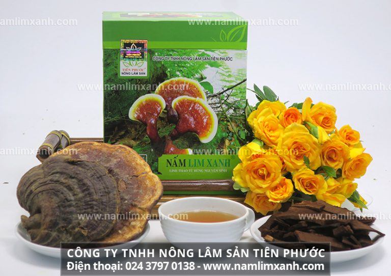 Cách sử dụng Nấm lim xanh Thanh-thiết-bảo-sinh