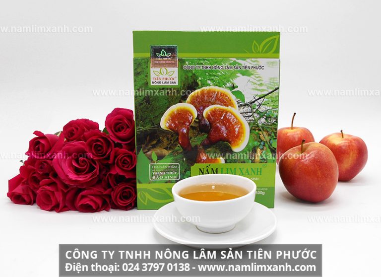 Cách sử dụng nấm lim xanh hỗ trợ giúp hết bệnh hiệu quả