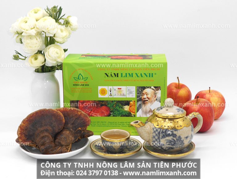 Cách uống nước nấm lim xanh như nào thì đúng và  cách sử dụng phổ biến nhất của nấm lim xanh