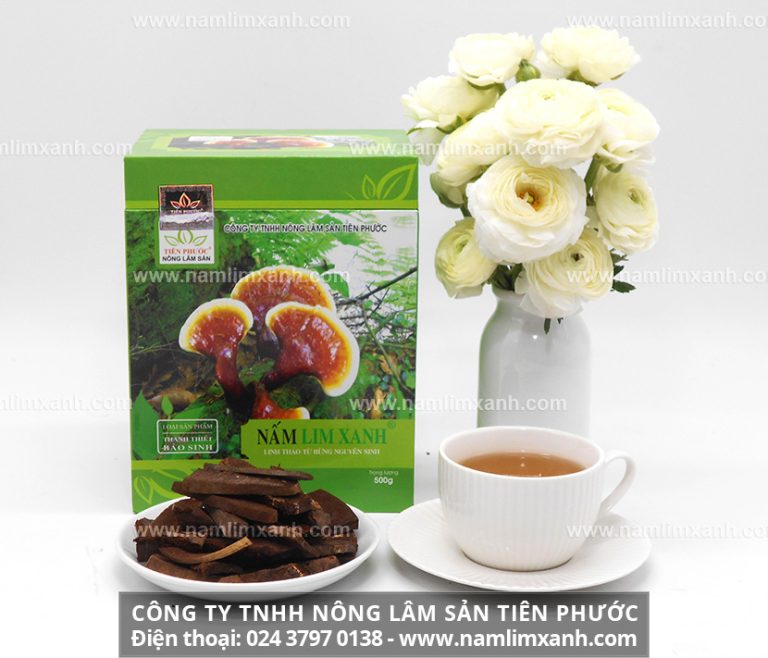 Công dụng của nấm lim xanh Tiên Phước