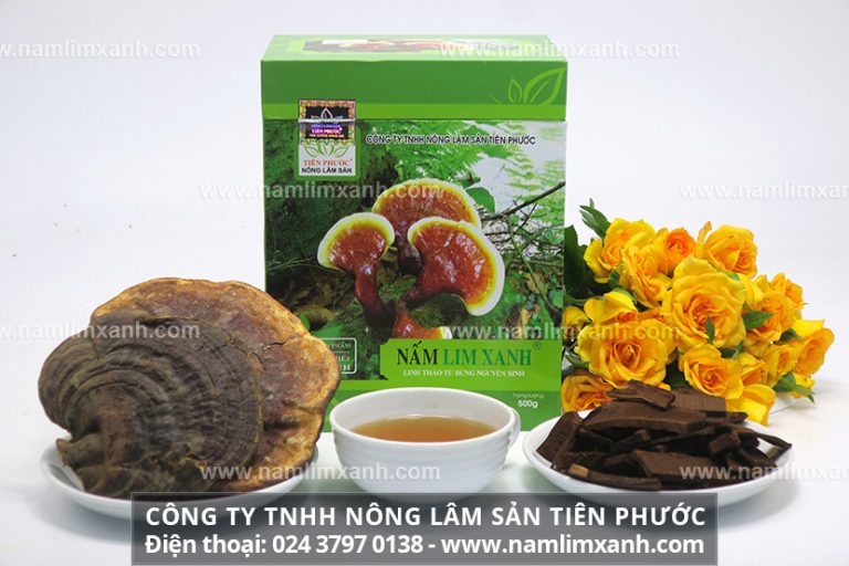 Công dụng của nấm lim xanh đối với bệnh gout