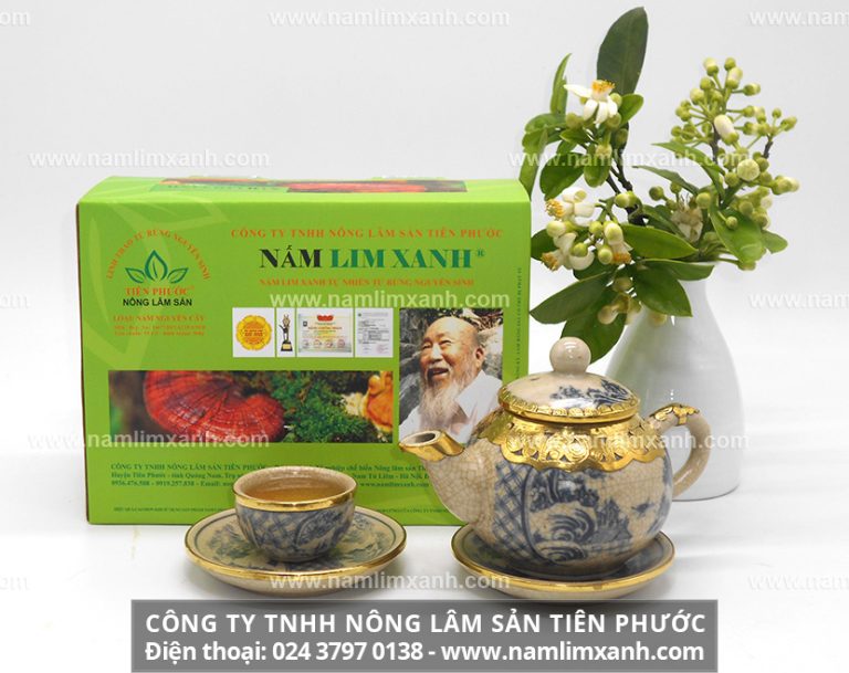 Công dụng của nấm lim xanh với sức khoẻ