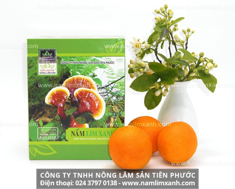 Đại lý nấm lim xanh Công ty TNHH Nấm Lim Xanh Việt Nam tại Hà Tĩnh cung cấp các dòng sản phẩm Nấm lim xanh chính gốc