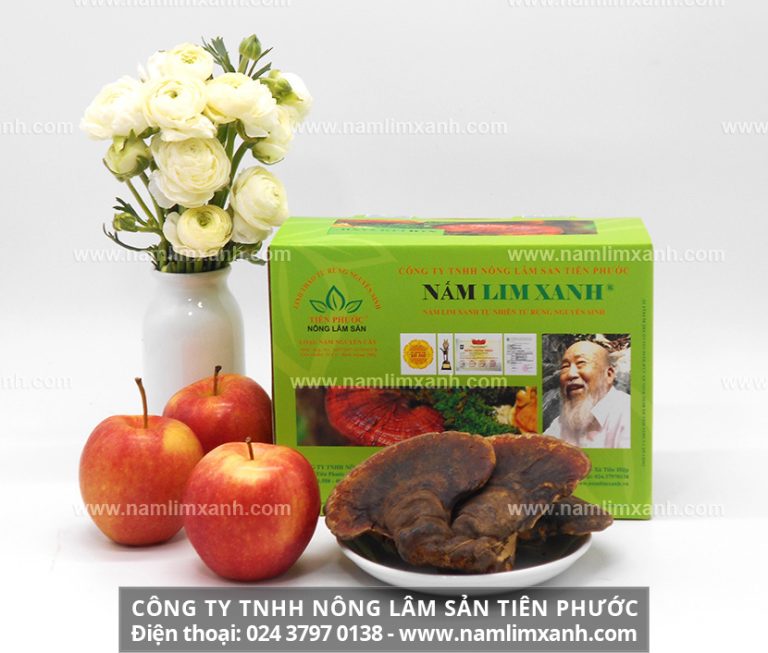 Dấu hiện nhận biết sản phẩm nấm lim xanh thật