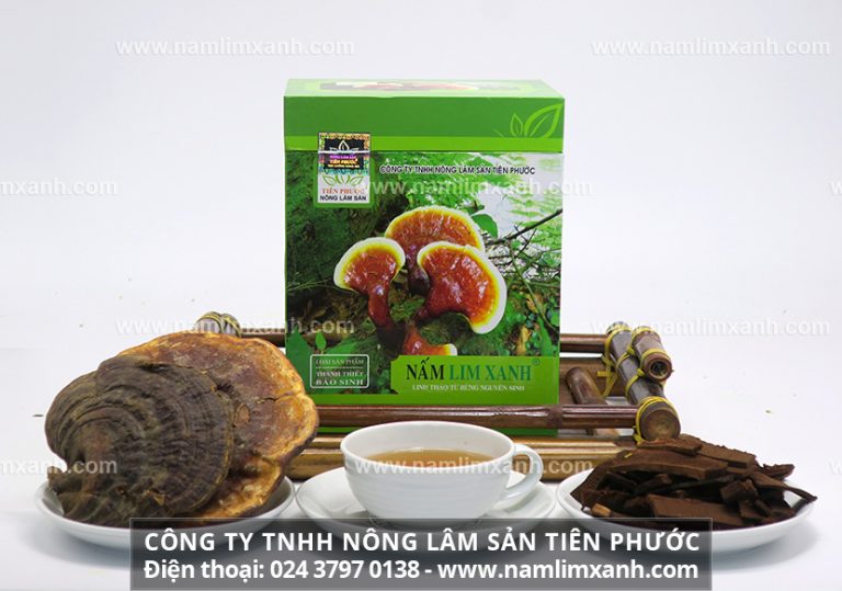 Hình ảnh nấm lim xanh đã sơ chế bằng bài thuốc gia truyền công ty