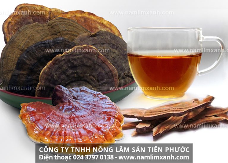 Hướng dẫn cách làm sạch nấm lim xanh đúng nhất