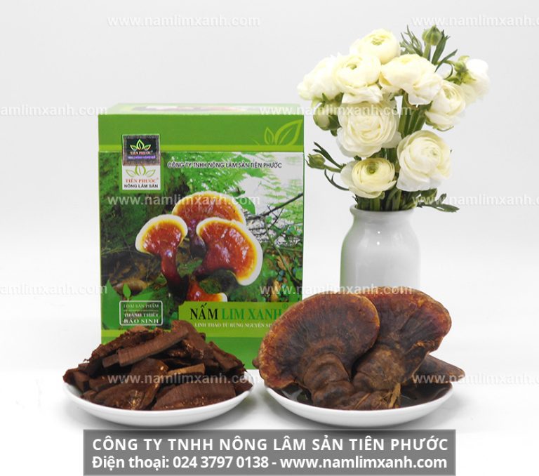 Liều lượng nấm lim xanh theo bệnh