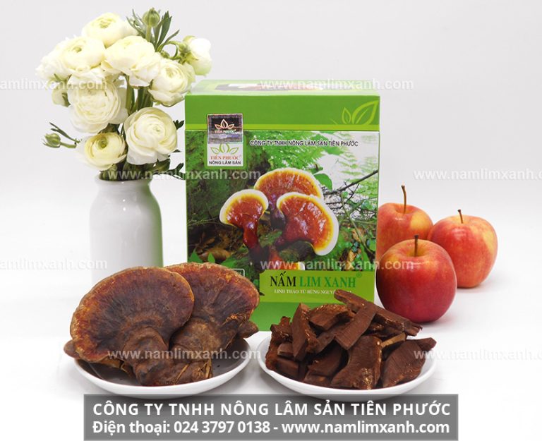 Nấm lim xanh Thanh-Thiết-Bảo-Sinh