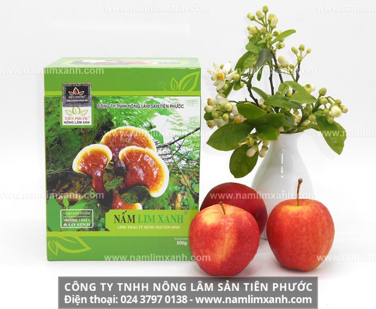 Nấm lim xanh có nguồn gốc như thế nào và giá nấm lim xanh hiện nay