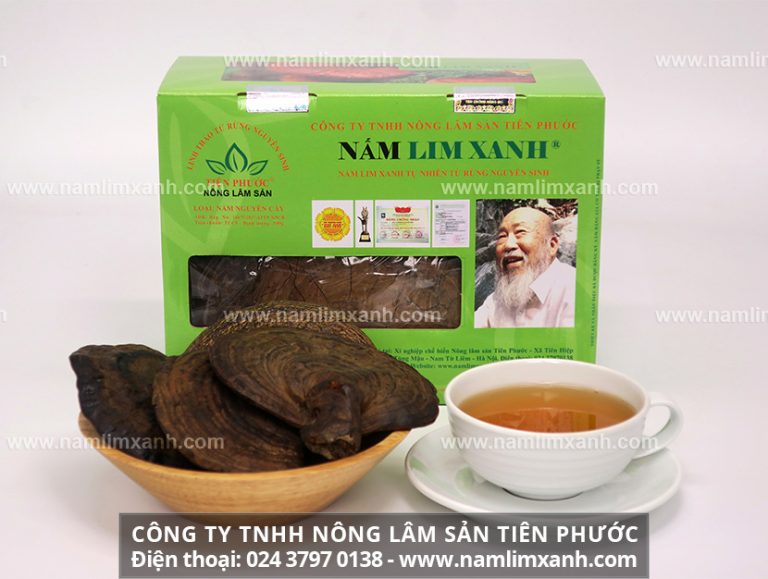 Nấm lim xanh là gì là và tác dụng chữa bệnh như thế nào