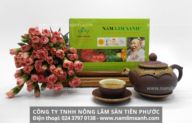 Nấm lim xanh ngâm 45 độ có tác dụng rất tốt cho sức khoẻ