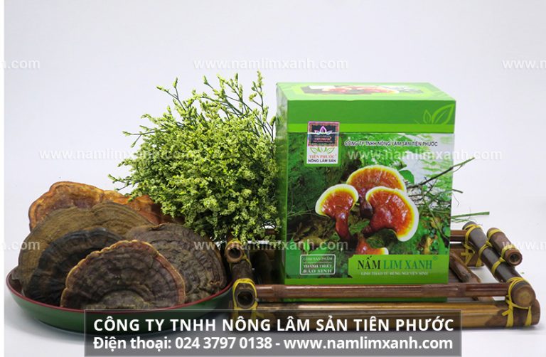 Nấm lim xanh ngâm 45 độ có tốt không