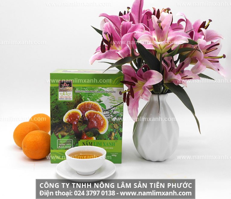 Nấm lim xanh ngâm 45 độ tốt cho sức khỏe.