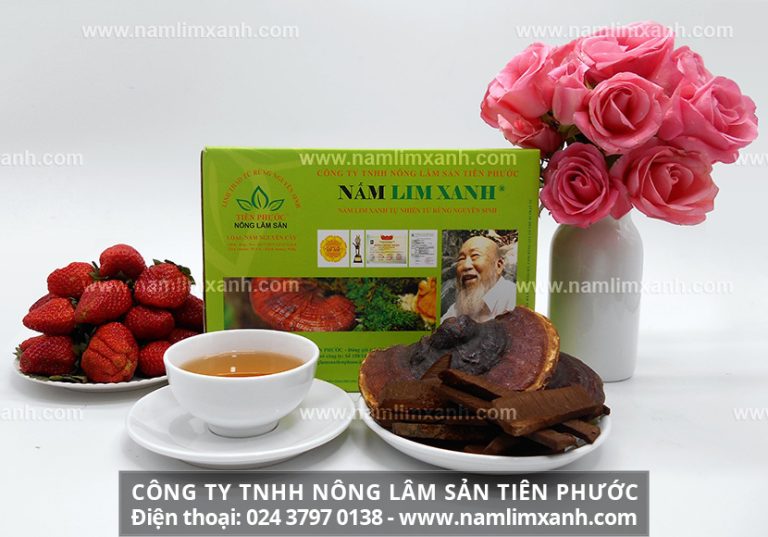 Nấm lim xanh nguyên cây