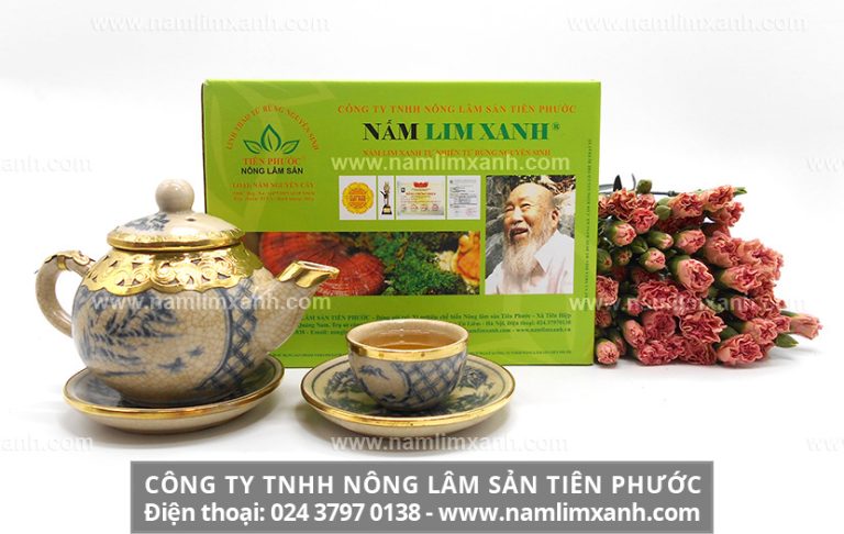 Nấm lim xanh thật mọc trên thân cây lim và loại nào tốt nhất