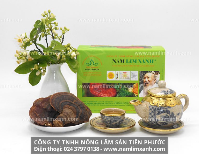 Nấu nấm lim xanh khô như thế nào và lưu ý khi sử dụng