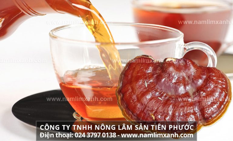 Người khỏe mạnh uống nấm lim xanh nhiều có tốt không