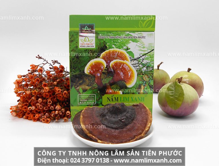Nơi mua nấm lim xanh Tiên Phước chính hãng công ty TNHH Nông lâm sản Tiên Phước ở An Giang
