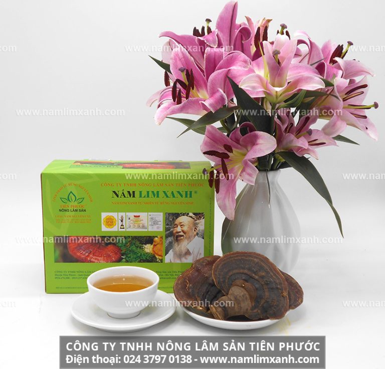 Quý khách hàng tại Đà Nẵng có nhu cầu tìm mua nấm lim xanh tự nhiên hãy tới trực tiếp tại hai địa chỉ được phân phối ủy quyền sản phẩm của Công ty