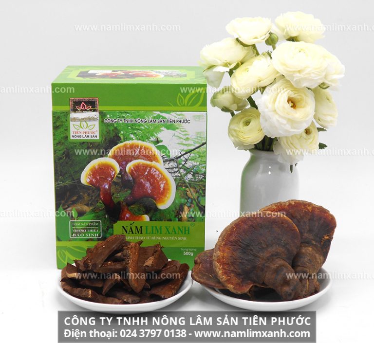 Sản phẩm Nấm lim xanh loại Tốt, Thái lát được chế biến từ cây nấm bánh tẻ có công dụng dưỡng sinh và điều hòa nội thể rất tốt