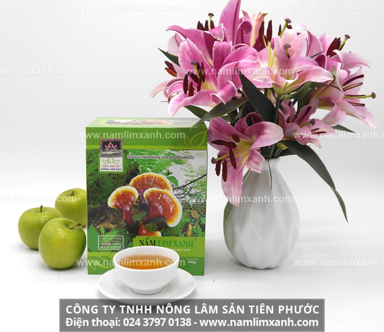 Sản phẩm nấm lim xanh Thanh Thiết Bảo Sinh công ty Nông lâm sản Tiên Phước