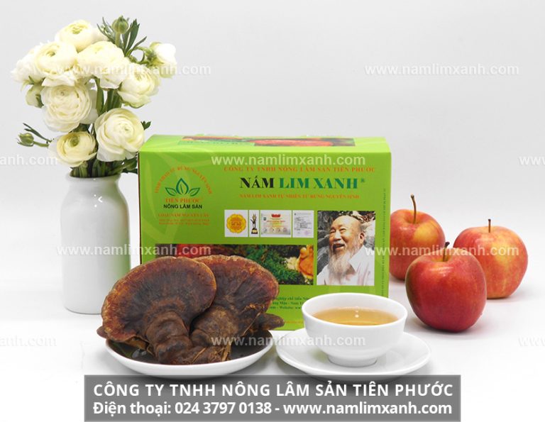 Sản phẩm nấm lim xanh Thật chính hãng nổi tiếng trên trị trường