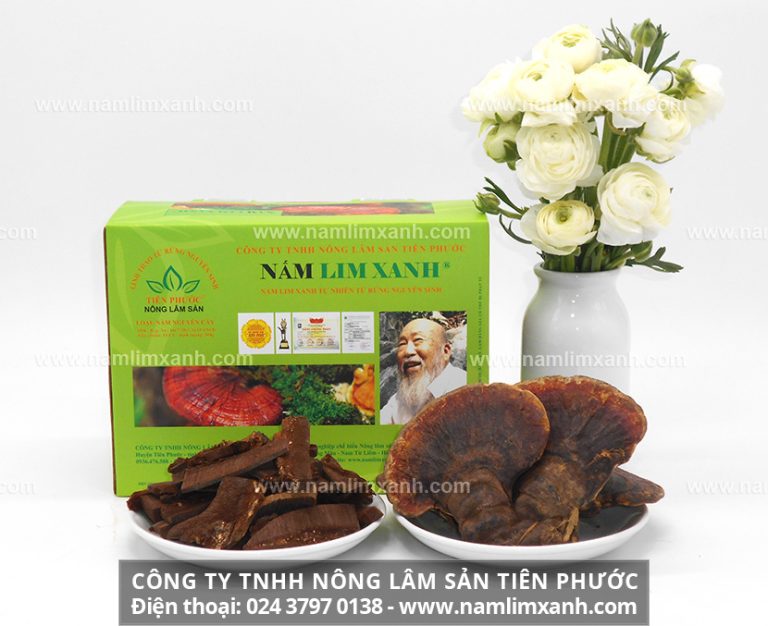 Tác dụng của nấm lim xanh chữa bệnh Gout và cách dùng phát huy tác dụng tốt nhất