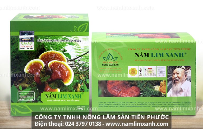 Tác dụng của nấm lim xanh đối với sức khỏe con người