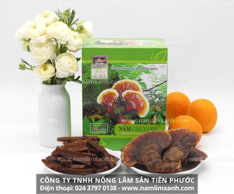 Tác dụng của nấm lim xanh ngâm 45 độ và cách ngâm hiệu quả