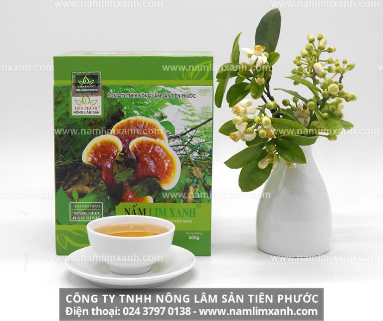 Tác dụng của nấm lim xanh trong làm đẹp, hỗ trợ giúp hết bệnh