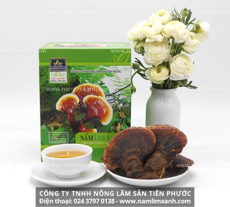 Tác dụng của việc nấu nấm lim xanh hỗ trợ giúp hết bệnh