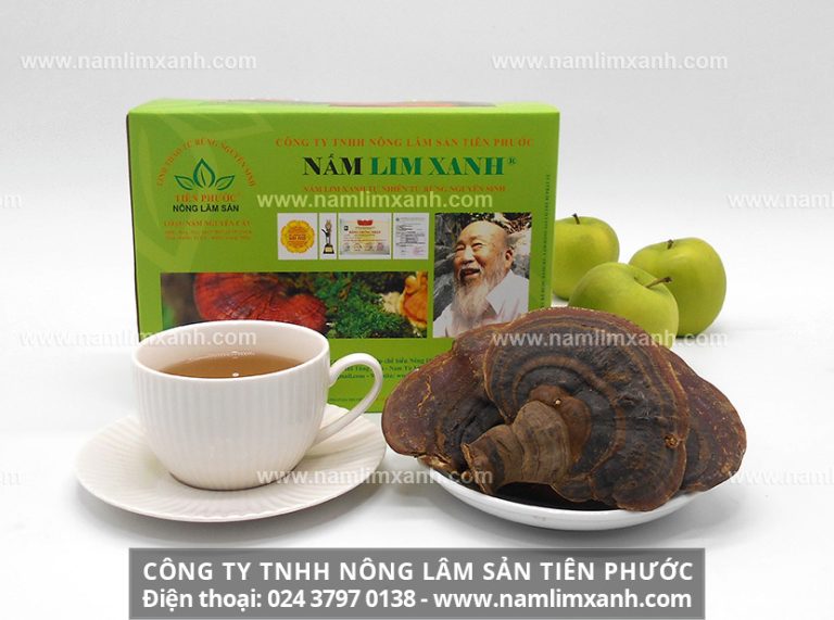 Tác dụng nấm lim xanh ngâm 45 độ đối với sinh lực phái mạnh.