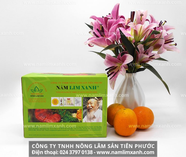 Tìm mua sản phẩm nấm lim xanh Quảng Nam chính hãng ở đâu uy tín và giá bán bao nhiêu