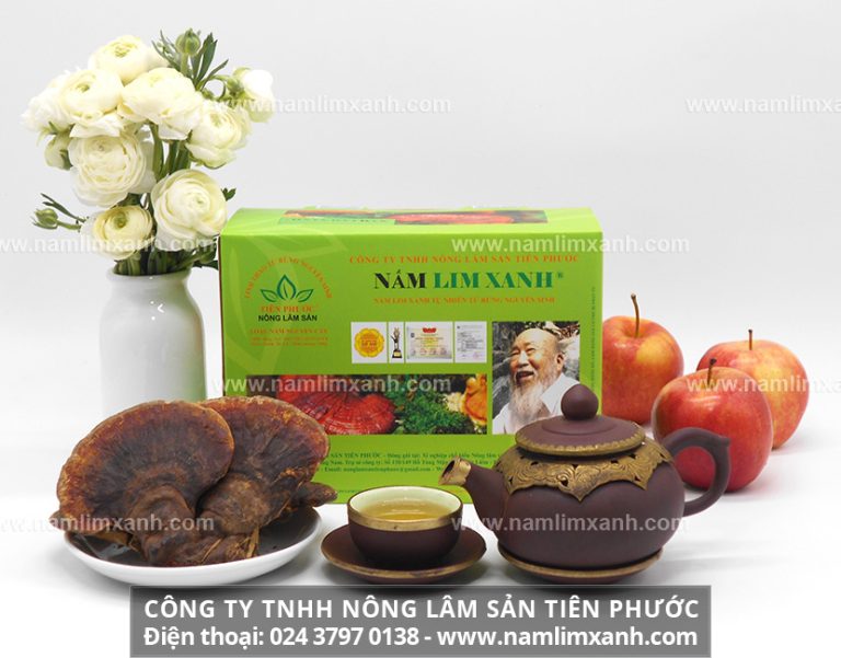 Uống nấm lim xanh hàng ngày giúp tăng cường sức khỏe