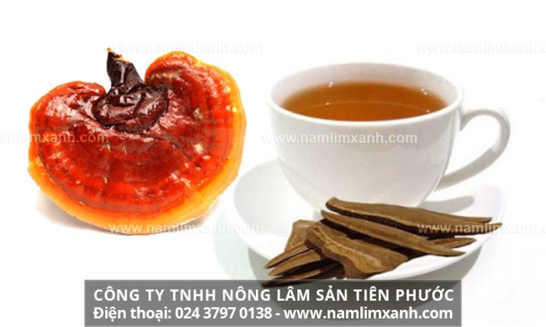 Uống nấm lim xanh kiêng gì và cách dùng nấm lim xanh hiệu quả