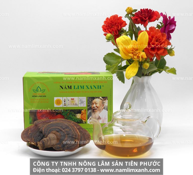 Uống nấm lim xanh nhiều có tốt không