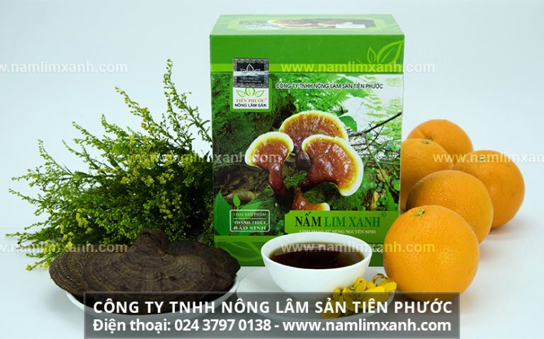 Bảng giá nấm lim xanh thành phố Hồ Chí Minh và địa chỉ mua chính hãng