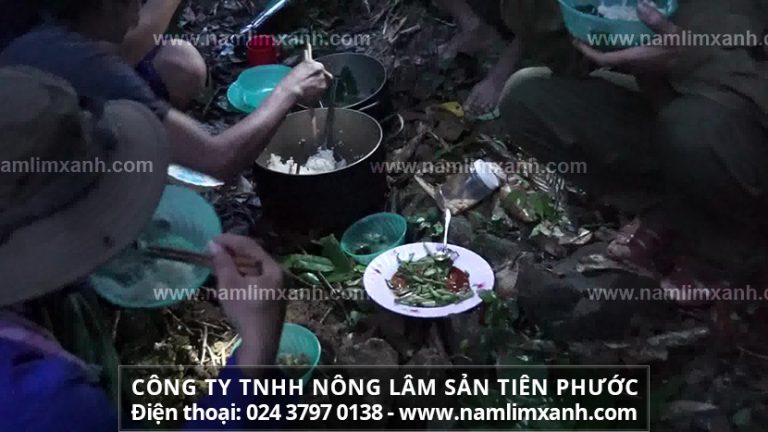 Bảng giá nấm lim xanh thật phải phụ thuộc vào nhiều yếu tố