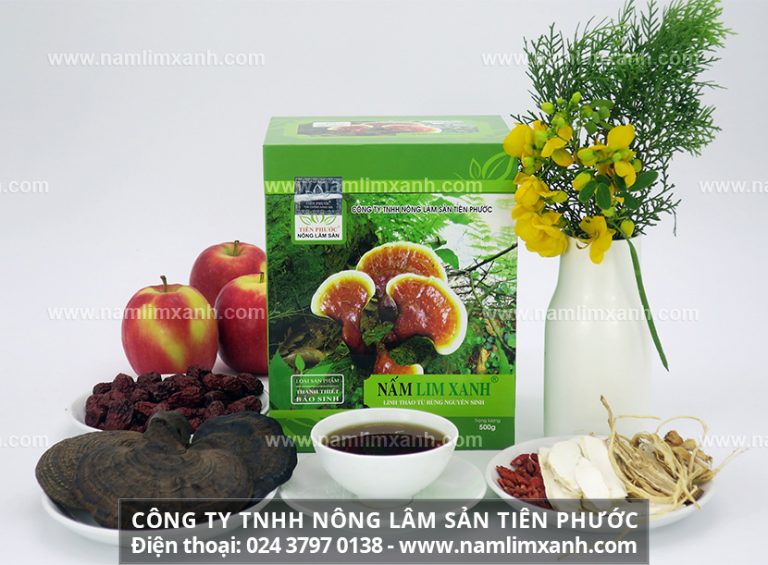 Các cách sử dụng nấm lim xanh