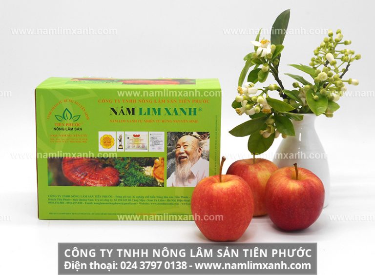 Các loại nấm lim xanh đa dạng như thế nhưng loại nấm lim xanh mà chúng ta thường đề cập đến là loại nấm mọc từ vỏ cây lim đã chết