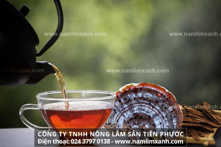 Cách chế biến nấm lim xanh tươi