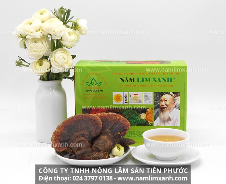 Cách dùng của nấm lim xanh khoa học tại nhà