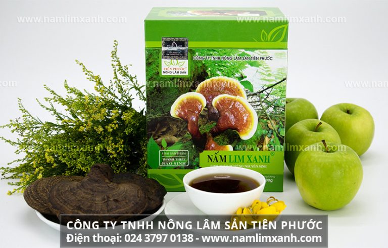 Cách dùng nấm lim xanh hiệu quả tự nhiên