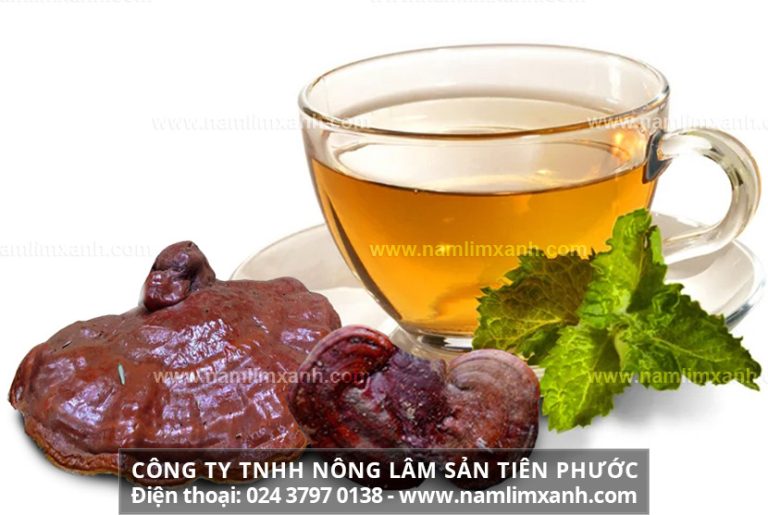 Cách dùng nấm linh xanh làm hết bệnh hiệu quả